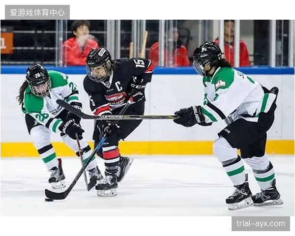 昆仑鸿星俱乐部“小狼”成长计划，引入加拿大综合评价模型后，如何平衡高昂投入与家庭教育预期？